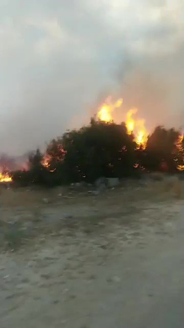 Yıldırım Düşmesi Sonucu Çıkan Yangında 10 Dönüm Alan Zarar Gördü
