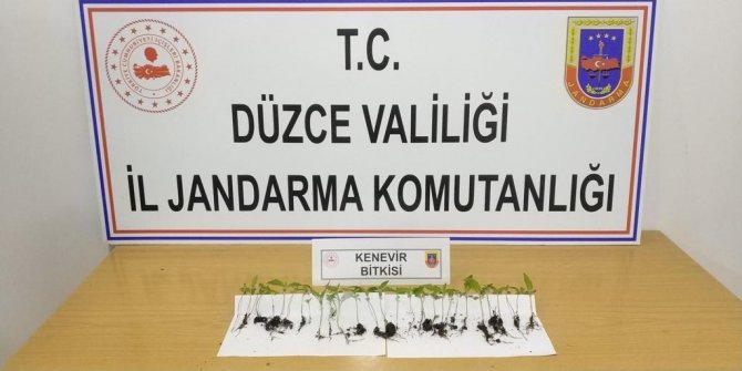 Uyuşturucu Kullanıcıları Yol Kontrolünde Yakalandı