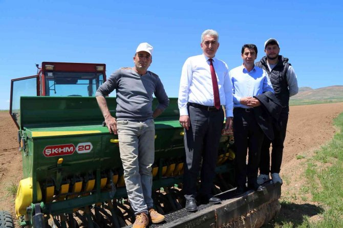 Gümüşhane’de Karabuğday Çiftçilerin Umudu Oldu