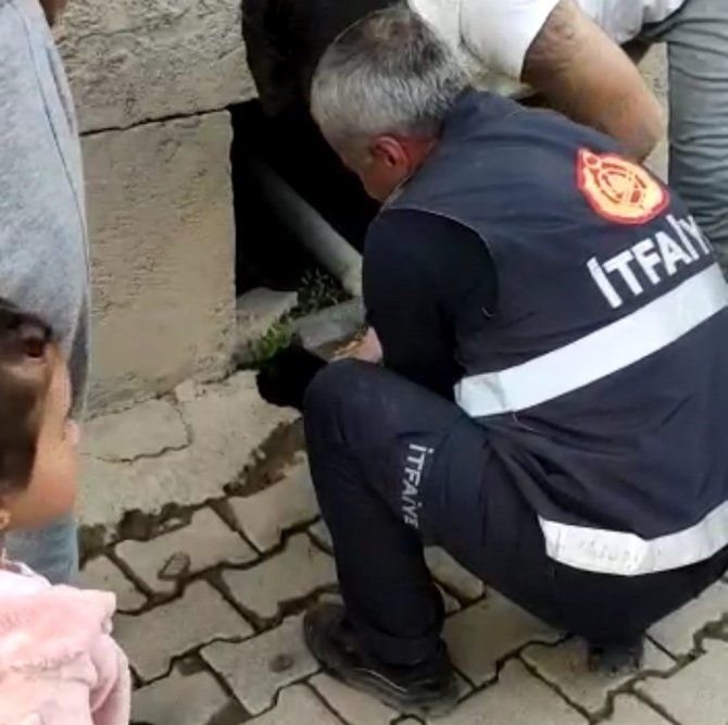 Mahsur Kalan Kediyi İtfaiye Ekipleri Kurtardı