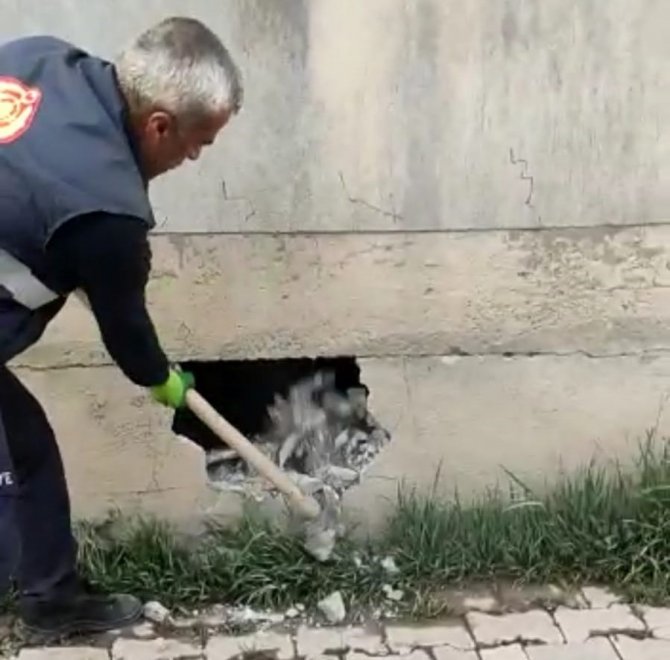 Mahsur Kalan Kediyi İtfaiye Ekipleri Kurtardı