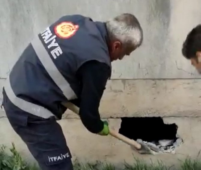 Mahsur Kalan Kediyi İtfaiye Ekipleri Kurtardı