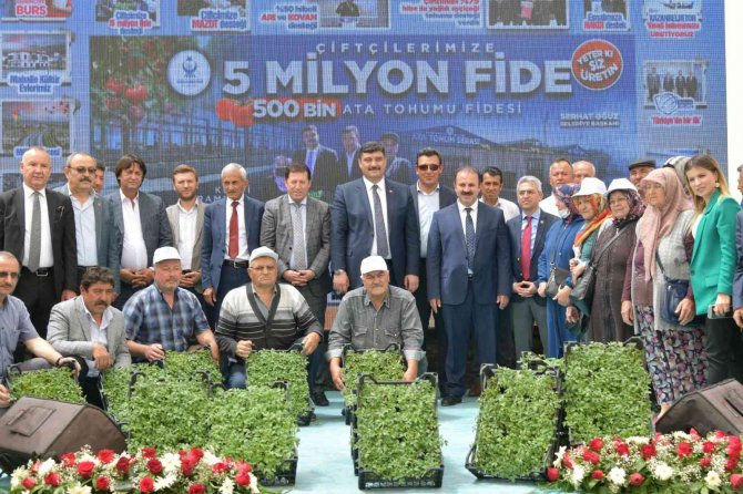 Kahramankazan’da Ata Tohumlarından Yetiştirilen 500 Bin Domates Fidesi Çiftçilere Ücretsiz Dağıtıldı