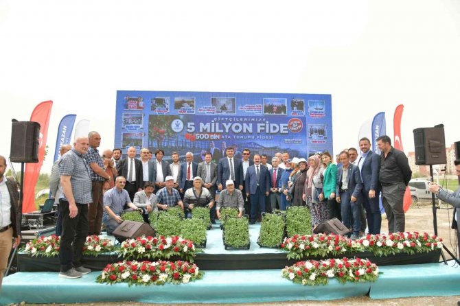 Kahramankazan’da Ata Tohumlarından Yetiştirilen 500 Bin Domates Fidesi Çiftçilere Ücretsiz Dağıtıldı