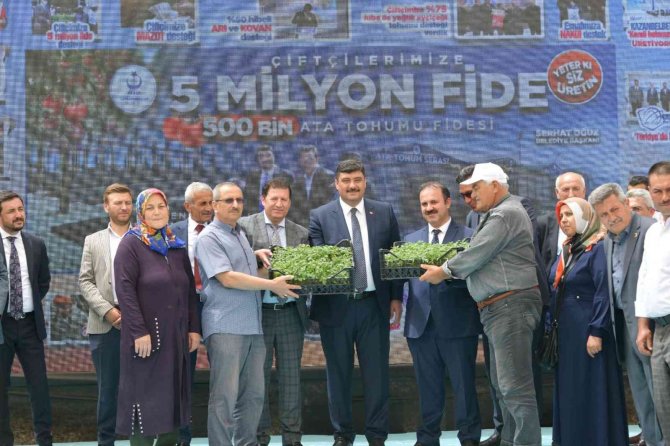 Kahramankazan’da Ata Tohumlarından Yetiştirilen 500 Bin Domates Fidesi Çiftçilere Ücretsiz Dağıtıldı