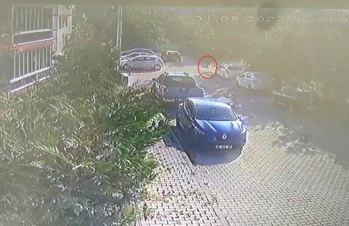 Köpeğe Çarpıp Yoluna Devam Etti, Güvenlik Kamerasına Yakalandı