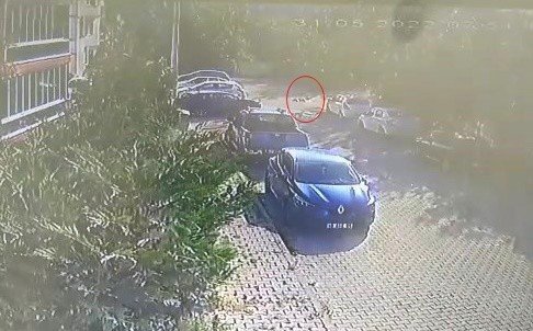 Köpeğe Çarpıp Yoluna Devam Etti, Güvenlik Kamerasına Yakalandı