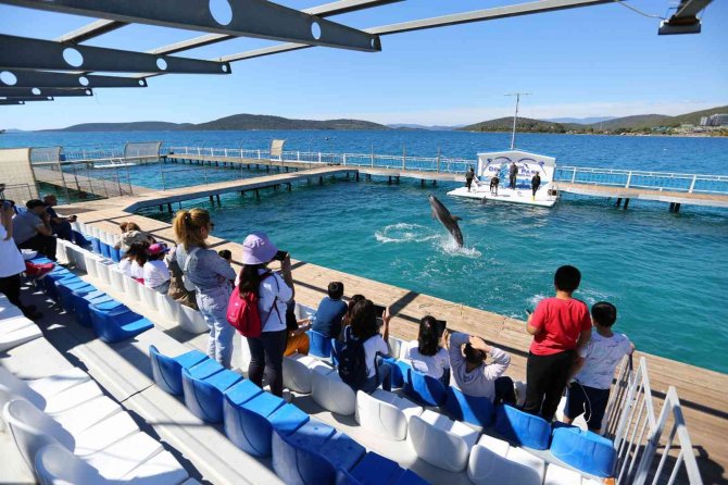 Hem Öğrendiler, Hem Eğlendiler