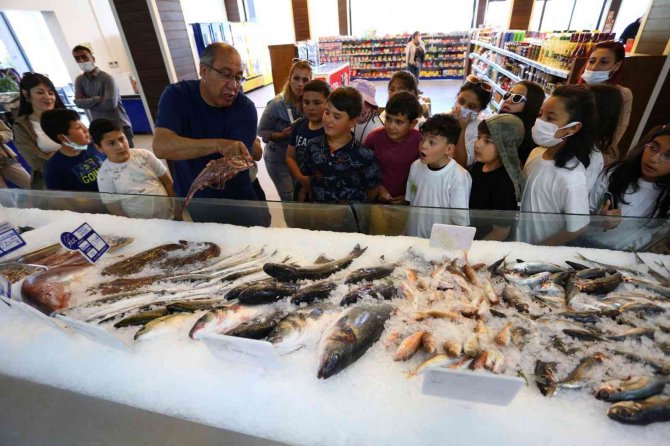 Hem Öğrendiler, Hem Eğlendiler