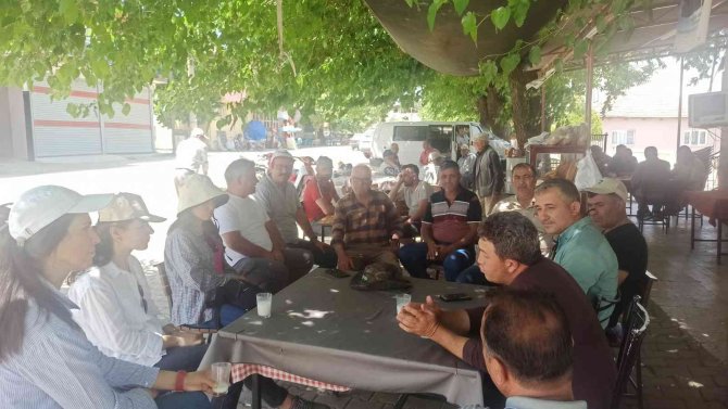 Salihli’de Üzüm Bağlarında Unlu Bitle Mücadele Eğitimi
