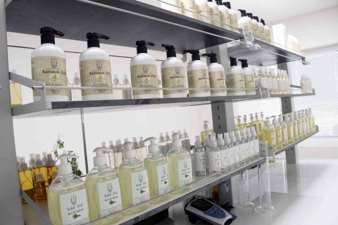 Türkiye’nin İlk Tıbbi Aromatik Bitki Dijital Kütüphanesi Kuruluyor