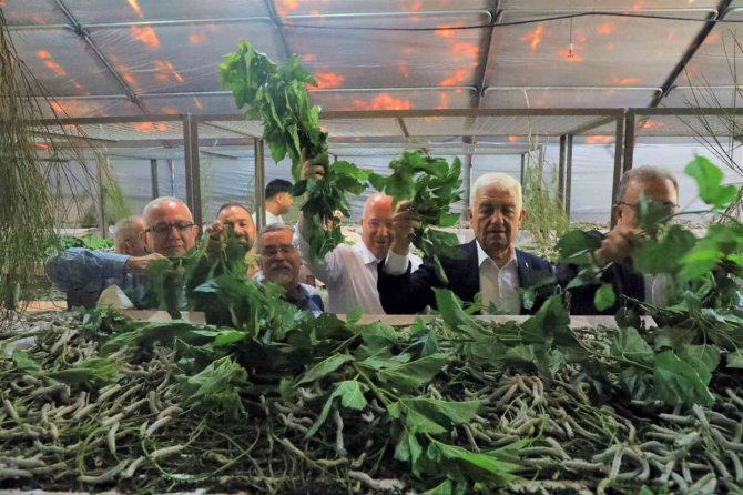 İ̇pekböceği Yetiştiricilerine Destek