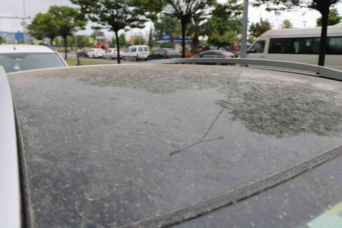 Samsun’da Arabalar Çamurla Kaplandı