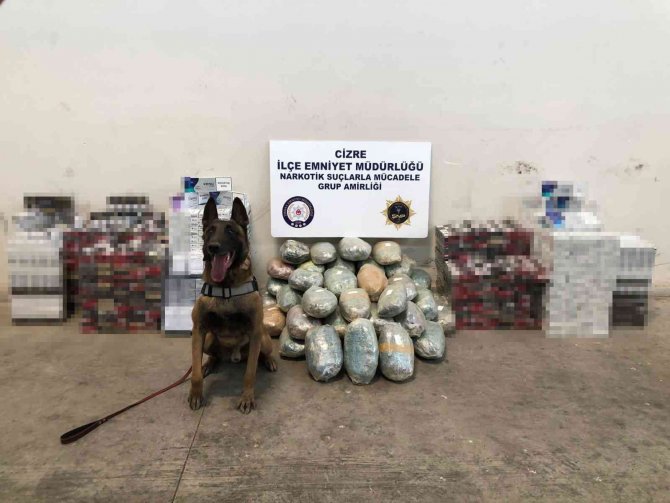 Şırnak’ta 51 Kilo Esrar Ve Kaçak Sigara Ele Geçirildi