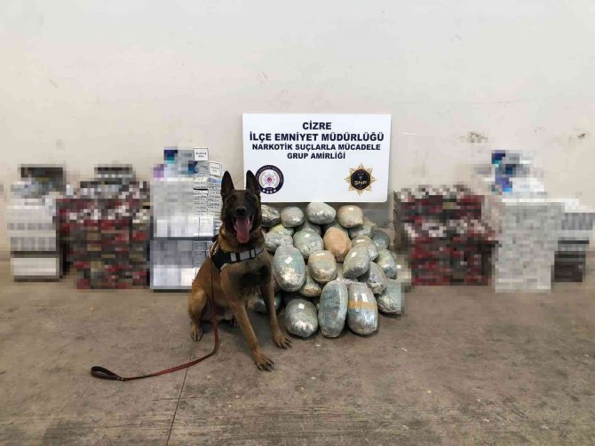 Şırnak’ta 51 Kilo Esrar Ve Kaçak Sigara Ele Geçirildi