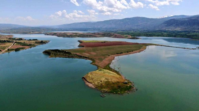 Milyonluk Adaya Müşteri Çıkmadı, Onlarda Atayı Sürüp Yem Bitkisi Ekti