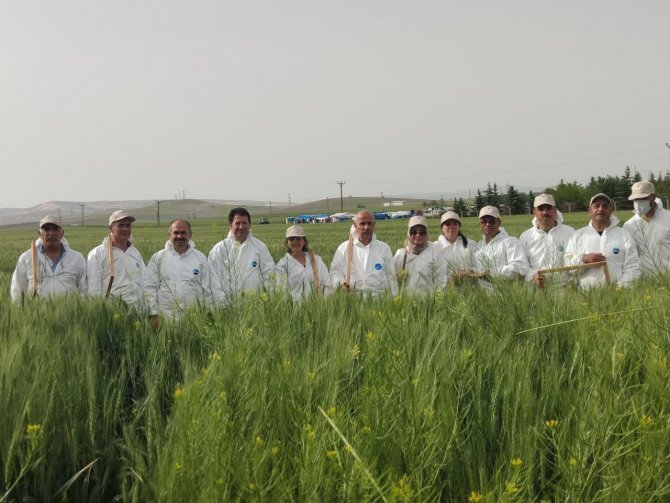 Bakan Kiriçci Kahramankazan’ı Ziyaret Etti, Tarlada Çapa Yaptı