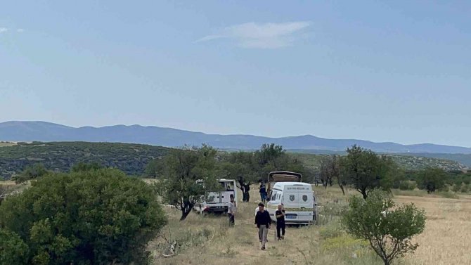 Bir Kişinin Öldüğü Koyun Otlatma Kavgasında Gözaltına Alınan Baba Oğul Tutuklandı