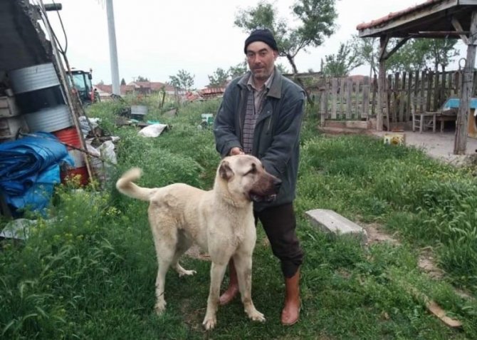 Bir Kişinin Öldüğü Koyun Otlatma Kavgasında Gözaltına Alınan Baba Oğul Tutuklandı