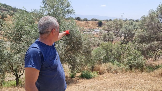 Çevre Konusunda Örnek Olması Gereken Sultanhisar Belediyesi ’Pes’ Dedirtti