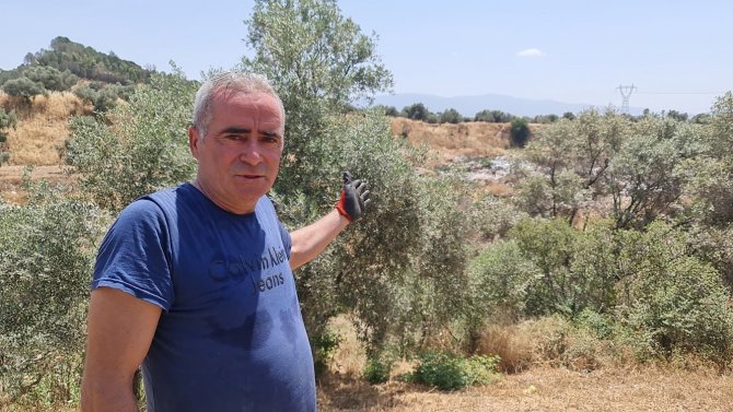 Çevre Konusunda Örnek Olması Gereken Sultanhisar Belediyesi ’Pes’ Dedirtti