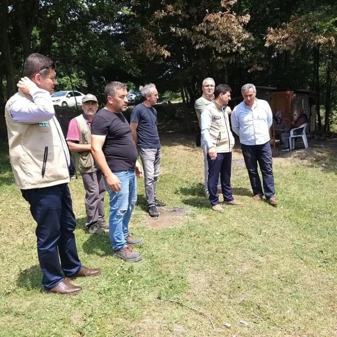 Yalova’da Vahşi Hayvanlar 17 Küçükbaş Hayvanı Telef Etti