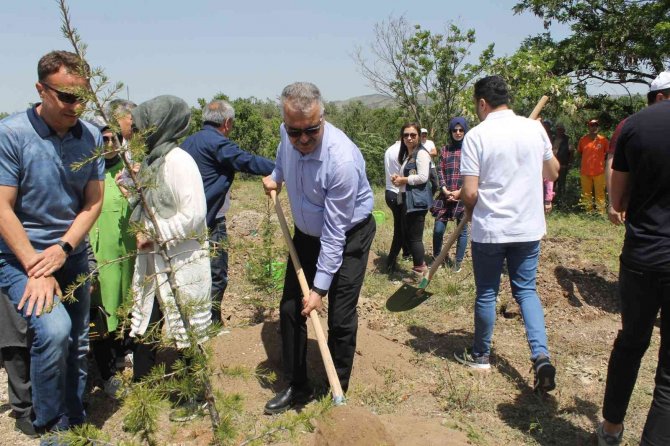 Ak Parti Çorum Teşkilatları Fidan Dikti
