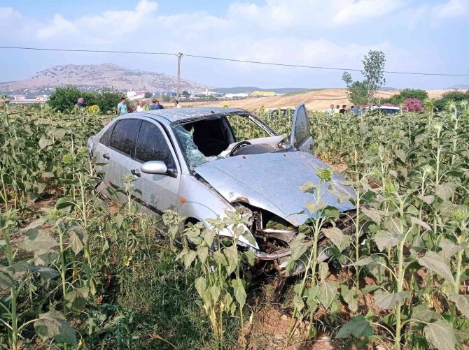 Otomobil Ayçiçek Tarlasına Uçtu: 1 Yaralı