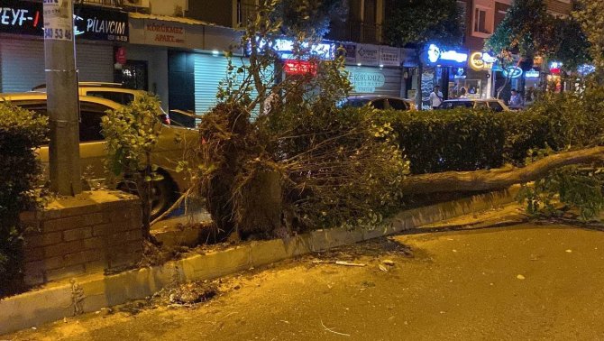 Aydın Valiliği Fırtına Bilançosunu Açıkladı