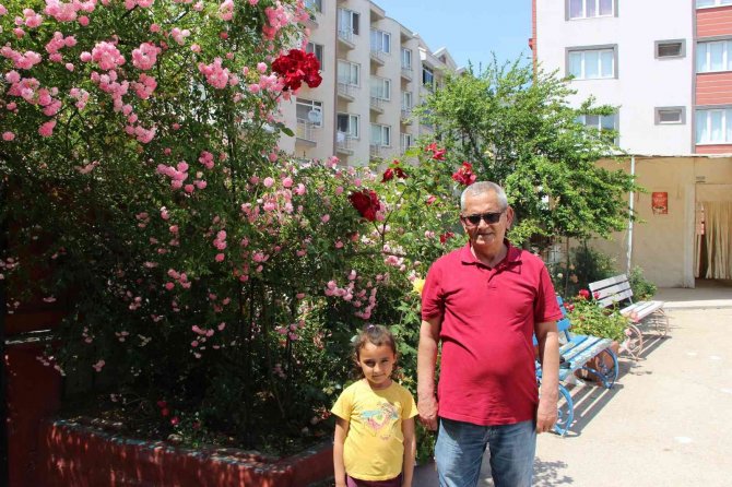 Okulun Bahçesi Rengârenk Oldu