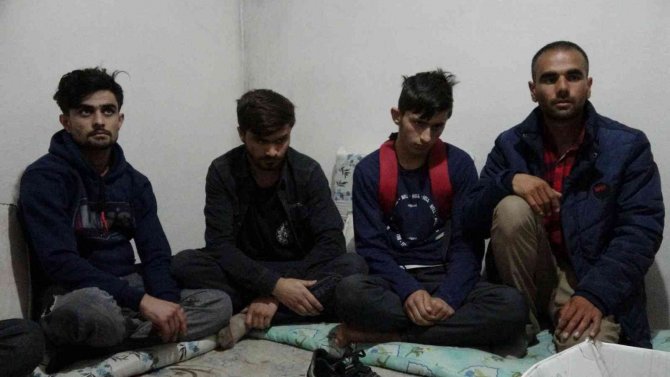 Van’da 9 Düzensiz Göçmen Yakalandı