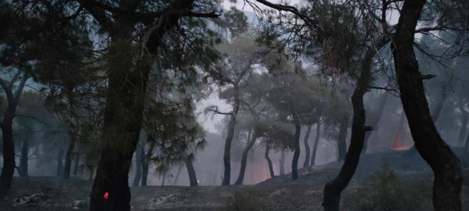 Düşen Yıldırım Orman Yangını Çıkardı