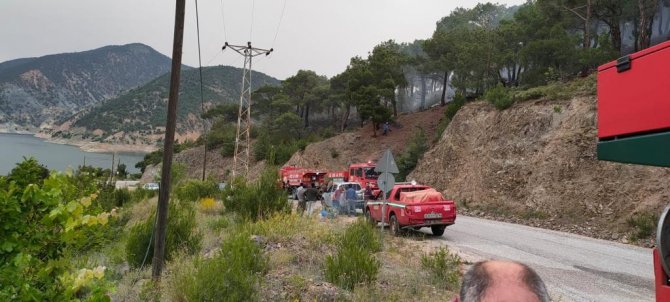 Düşen Yıldırım Orman Yangını Çıkardı