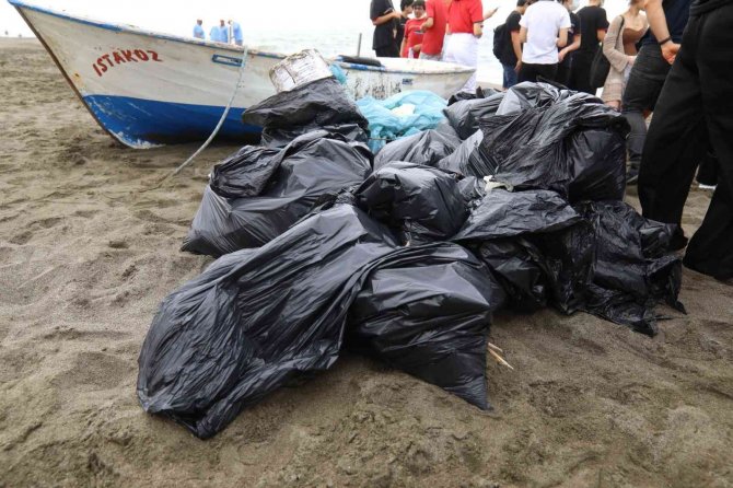 Hatay Büyükşehir Ekipleri ,Kaplumbağa Yuvalarını Temizledi