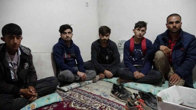 Van’da 9 Düzensiz Göçmen Yakalandı
