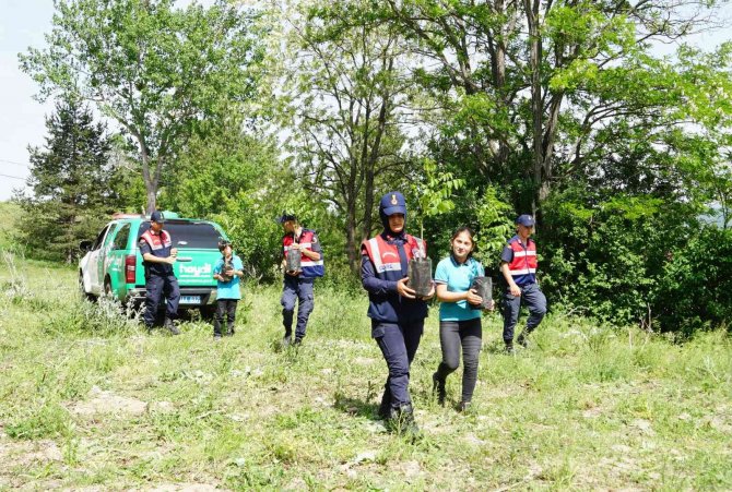 Okulun Çevresini Temizleyen Jandarma, Öğrencilerle Meyve Fidanı Dikti