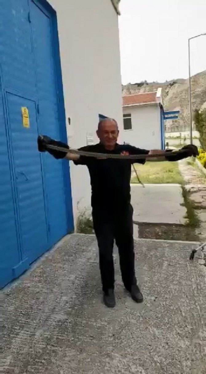 Depoya Giren Yılan Ekipleri Harekete Geçirdi