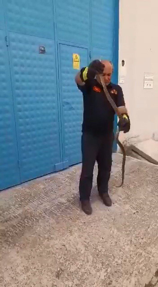Depoya Giren Yılan Ekipleri Harekete Geçirdi