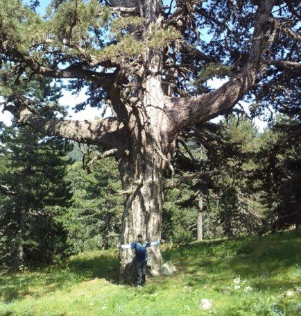Dünya Çevre Günü Nedeniyle 42 Kilometre Dağın Zirvesine Yürüdüler