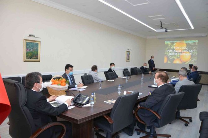 Köyceğiz Portakalı Coğrafi İşaretini Aldı