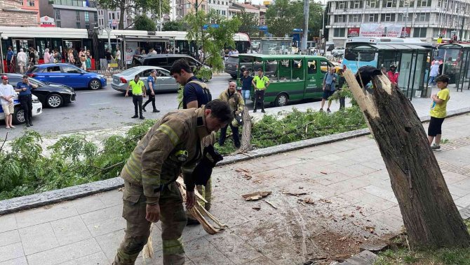 Beyoğlu’nda Gövdesinden Kırılan Ağaç Yola Devrildi: 2’si Turist 3 Kişi Yaralandı