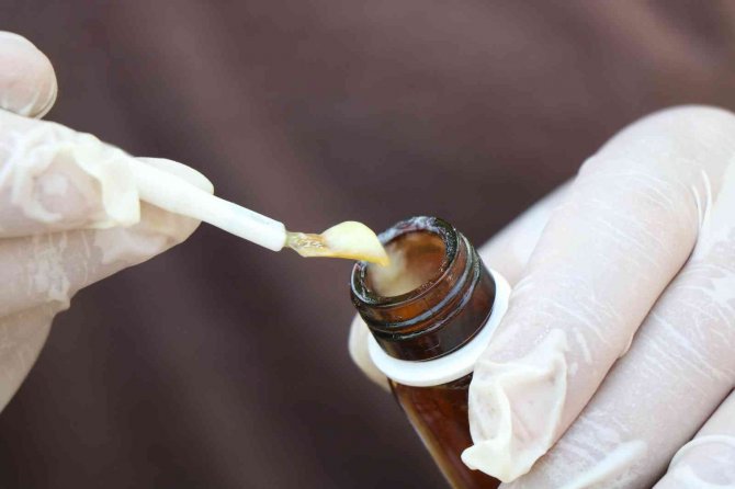 ’Arı Sütü’ Servet Değerinde: Gramı 15, Kilosu 15 Bin Tl