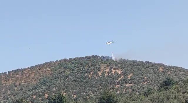 Balıkesir’deki Zeytinlik Yangınına Havadan Müdahale Edildi