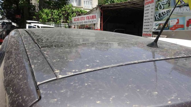 Sinop’ta Çamur Yağdı