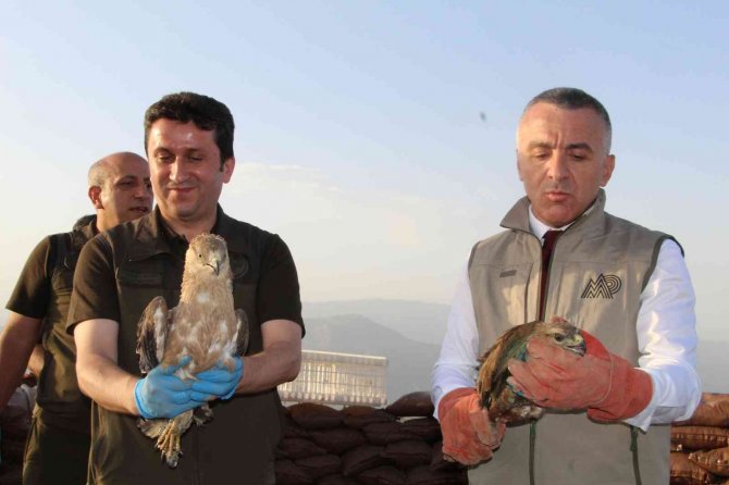 Şırnak’ta Tedavisi Tamamlanan Kuşlar Doğaya Bırakıldı