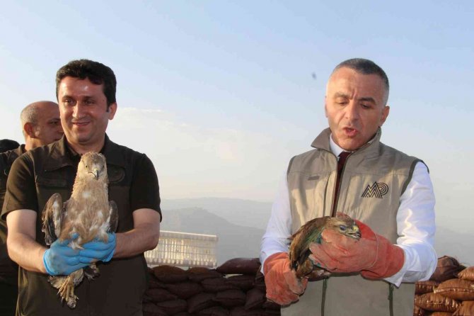 Şırnak’ta Tedavisi Tamamlanan Kuşlar Doğaya Bırakıldı