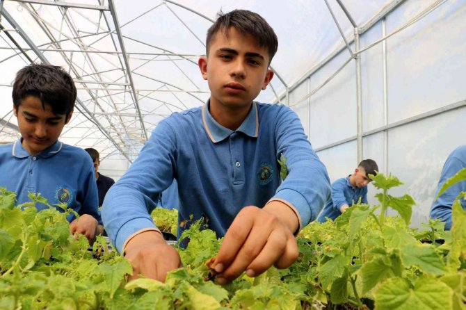 Bu Lisede Öğrenciler Traktör Sürüp Tarım Yapıyor