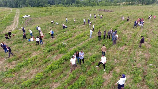 Minikler Fidan Dikerek Çevre Haftası’nı Kutladı