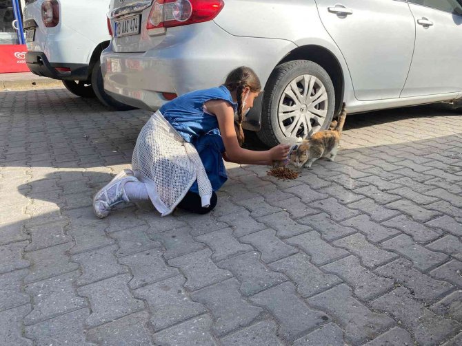 İ̇zci Öğrenciler Sokak Hayvanlarını Besledi