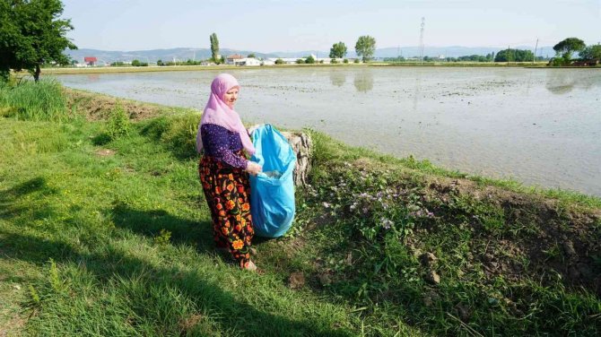 500 Kilogram Zirai Atığa Bir Kuzu
